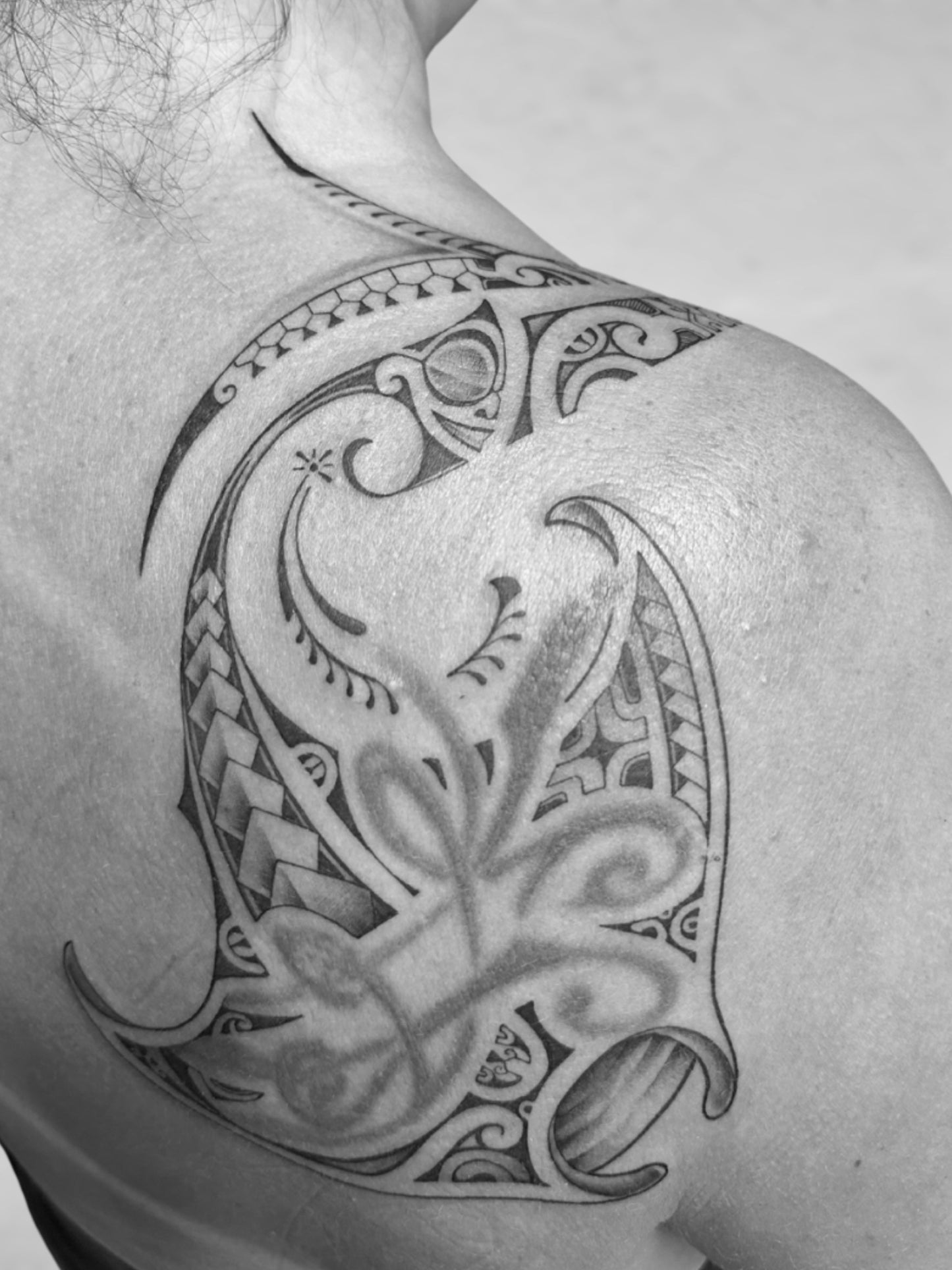 Modern Polynesian